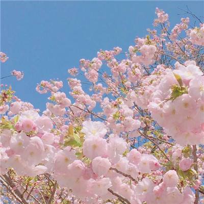 剑灵仙途手游(暂未上线)v1.0.3 官方安卓版