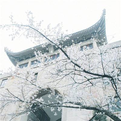 首富物语破解版下载