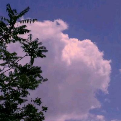 宝宝好习惯养成最新版下载