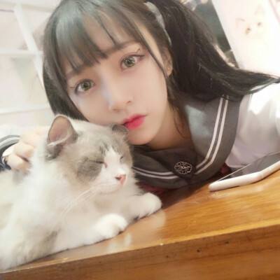 彩虹太空猫游戏下载